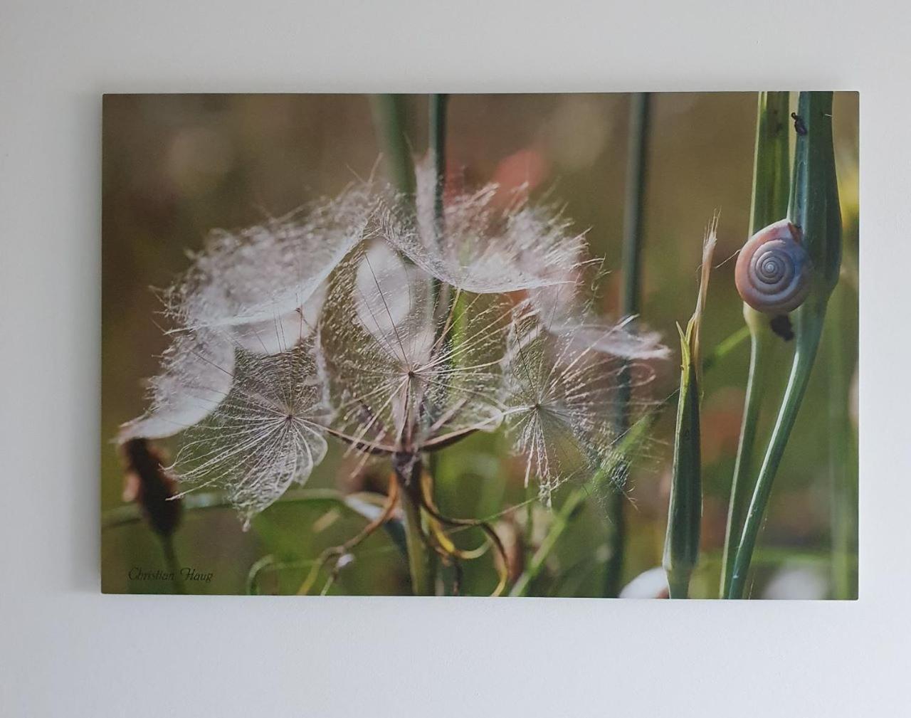 Chambre D'Hotes De Charme, Un Temps En Foret Westhouse Exterior photo